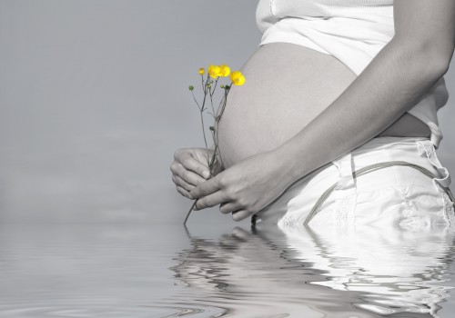 Abstract of a pregnant woman holding a bunch of buttercups with exposed bare stomach. Desaturated with only the flowers saturated and reflection over rippled water.